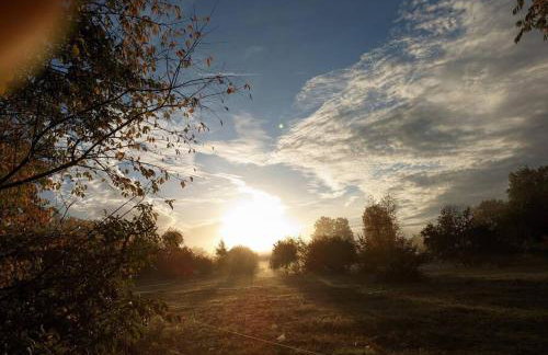Poggenhagen Urlaub mitten in der Natur - Foto 16