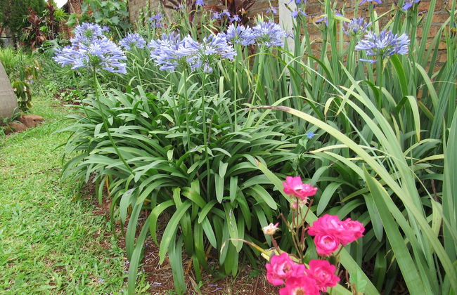 Room-ñau Father for 3 People - Foto 39