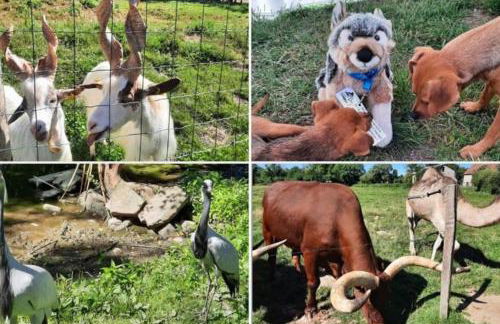 La petite Maison du Bonheur & Jacuzzi - Photo 42