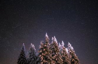 FEWO zum gscheiten Beck mit Garten - Foto 24