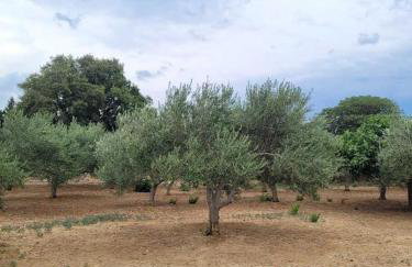 Apartman Milanko - Foto 27