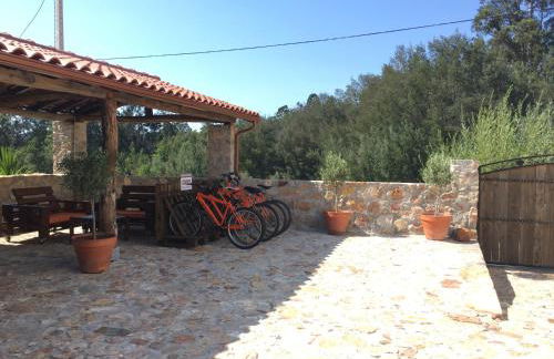 Casas no Terreiro - Photo 9