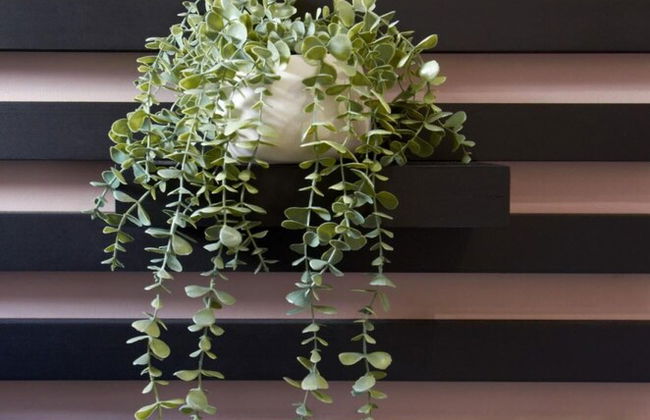 Knightstone Apartment - Foto 5