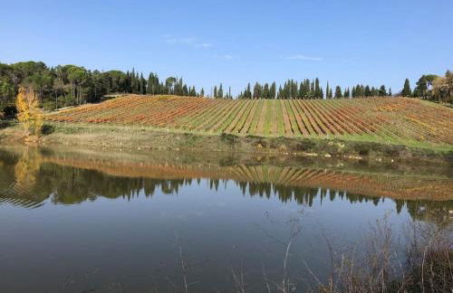 FAETOLE typical Tuscan country house near FLORENCE - Foto 39