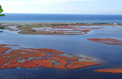 Vissala Village - Foto 78