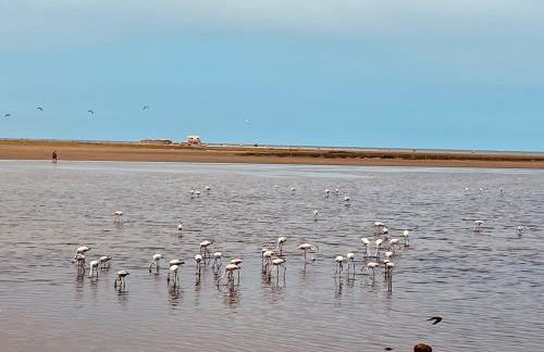 Duplex with sea view Leucate La Franqui - Foto 24