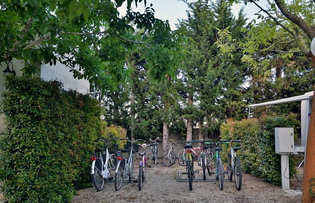 Masseria Lama - Foto 43