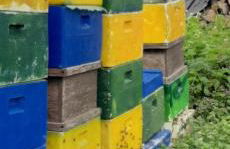 Blaues Haus-Urlaub mit Alpakas oder nur eine schöne Unterkunft in der schaalseergion - Foto 8