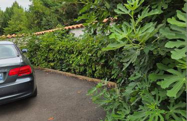 Chez Patricia en Beaujolais - Foto 37