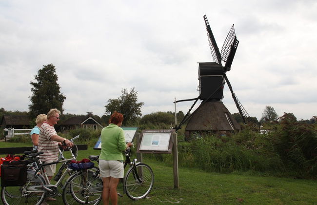 Rustic-chic Villa With Thatched Roof - Photo 23