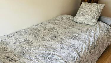 Bel appartement proche Parc & Lac - Foto 3