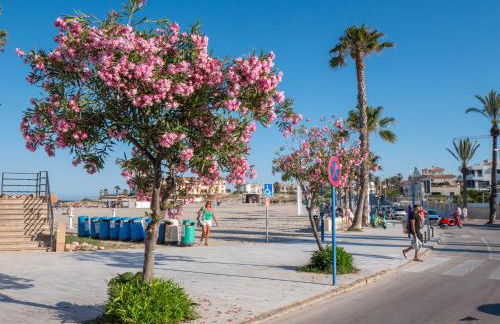 MARGARITA&GOLF - Orihuela Costa - Foto 6