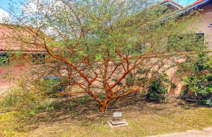 Studios Verdes hospedagens - Photo 9