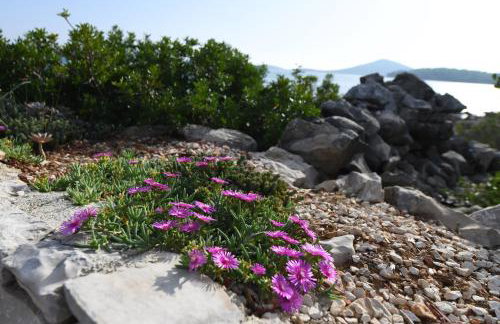 Beach House Marina Grande - Photo 14