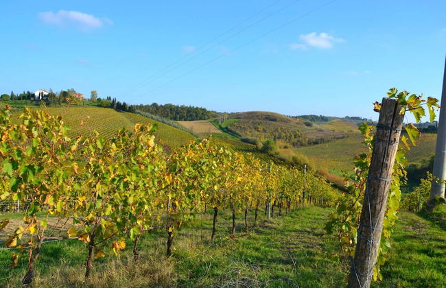 Belvilla by OYO Primula - Foto 40