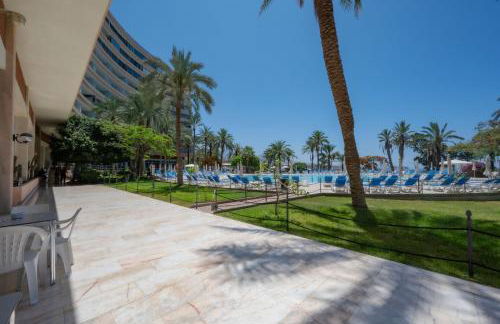 Seagulls melody C-209 - Foto 15