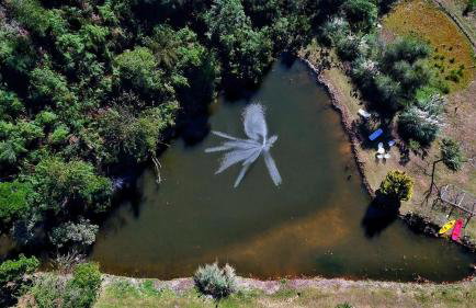 Bangalô - Sítio Cachoeiras do Caledônia - Foto 53