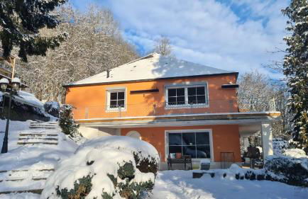 Waldhaus zum gechillten Hirsch in der Natur, bei der Moseltherme Traben-Trarbach - Foto 37