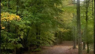 Primitive Camp Sites - Foto 5