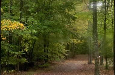 Primitive Camp Sites - Foto 5