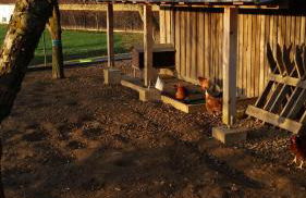 Ferienhaus Zillendorf - Foto 31