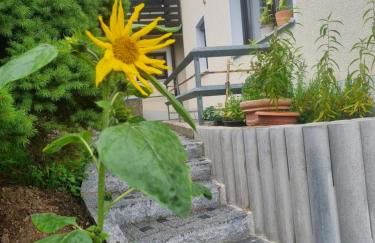 Ferienwohnung Umkreis Sankt Englmar mit vielen Freizeitattraktionen - Foto 9