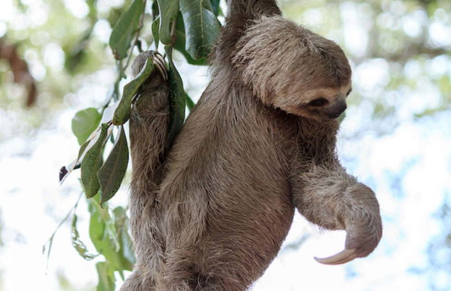 Yarinacocha & Pacacocha Lakes Excursion - Photo 6