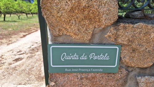 Quinta da Portela - Foto 3