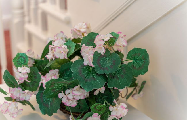 3 Bed Quaint House Town Center - Foto 29