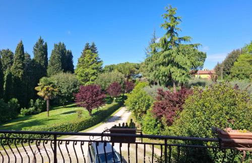 L'Olivo , in Tuscany - Photo 4