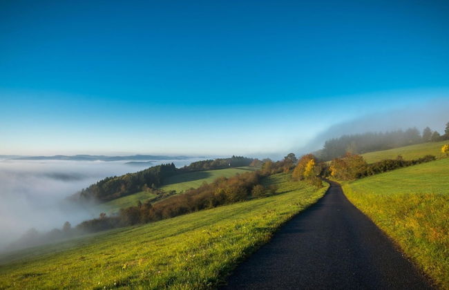 Comfy Apartment in Zendscheid near Forest - Foto 25
