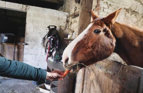 La Demeure de la Poterie, Wimille & Wimereux - Foto 61
