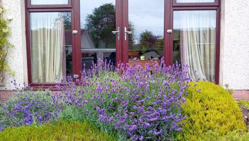 Isla Cottage - Photo 5