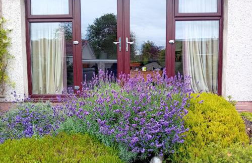 Isla Cottage - Foto 5