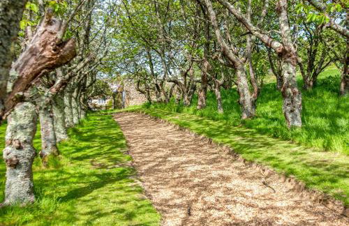 Willow Yurt - Ukc6947 - Foto 16