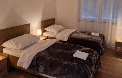 Apartman Tisako Ivankovo - Foto 10