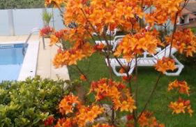 CasaT5, Férias, Piscina Privativa. Águeda, Aveiro - Foto 61