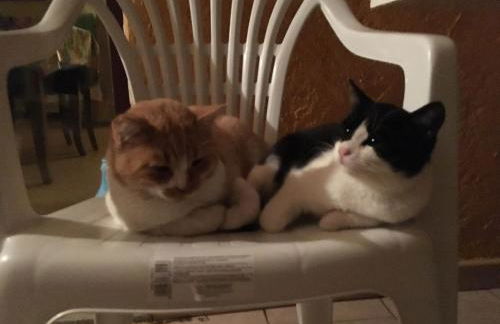 Fattoria di Anja e Marco - Foto 32