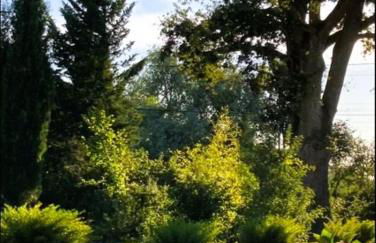 Domaine des Tauperons-8 pers-proche Beauval-wifi - Photo 16