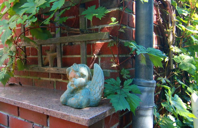 Peaceful Apartment in Ostseebad Boltenhagen With Terrace - Foto 59