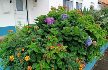 Apartamento da Matilde - Foto 1