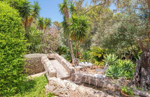 Can Toni Gat - Foto 55