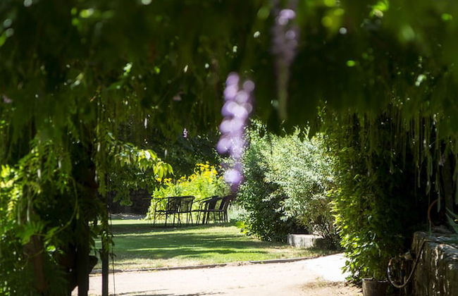 Casa de Santo António de Britiande - Foto 40