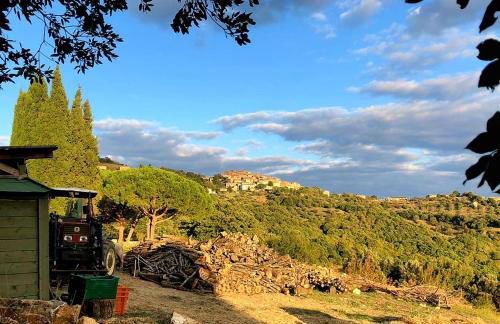 Nocini di Maremma - Photo 37