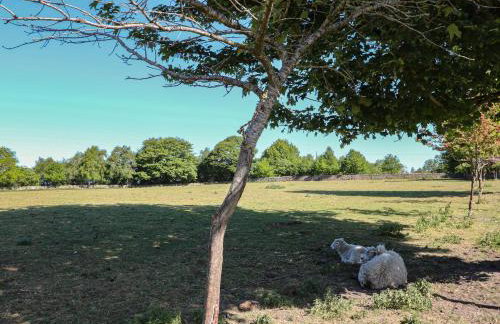 The White Cloud Bus - Foto 21