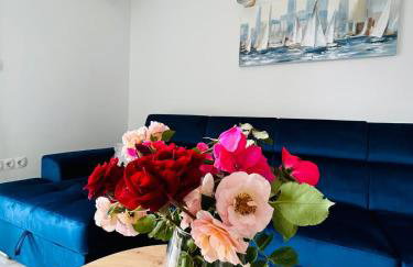 Apartments Dodig Maslina - Photo 10