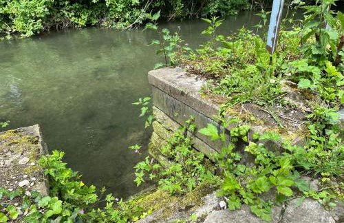 kukione Ferienwohnung - Foto 49