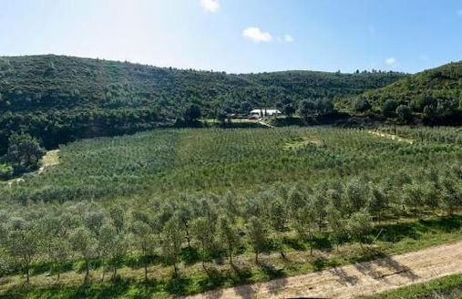 Masia Heredad La Boquilla - Foto 42