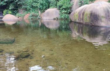 Casa das Orquídeas - Foto 8