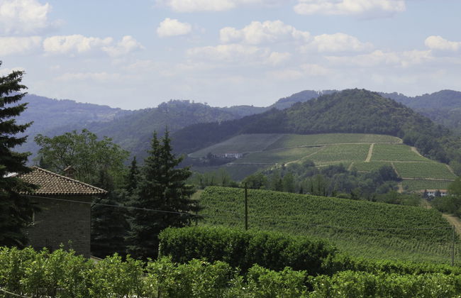 Castellaio - Foto 35